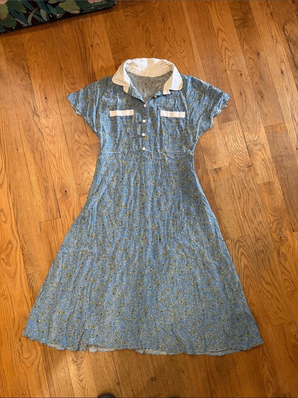 Blue Floral Collared Midi Dress with White Trim